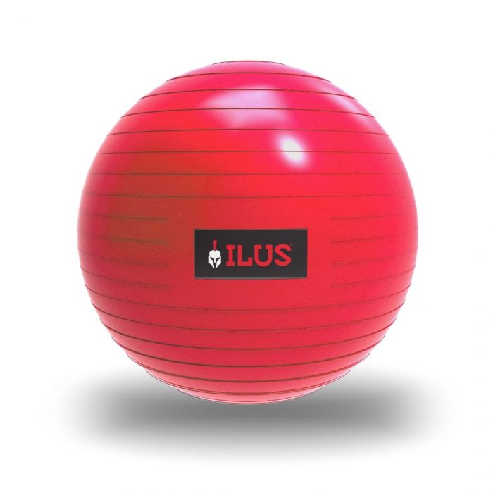 SWISS BALL 55 CM "ILUS"