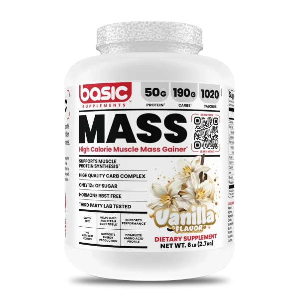 MASS GAINER 6 LB BASIC