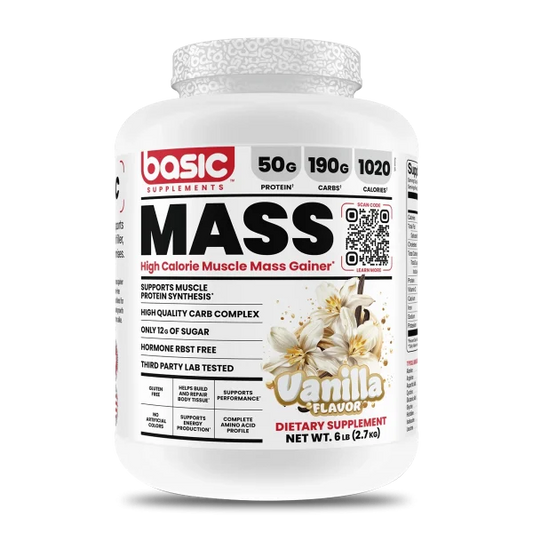 MASS GAINER 6 LB BASIC